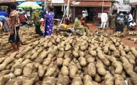 ORUROEZHI: The Ikem New Yam Festival