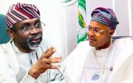 Read All About the 'Fake' PFIPC And The Gbajabiamila Connection