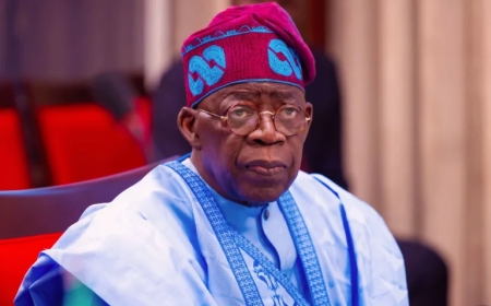 Finally, Tinubu Orders ICPC to Probe 'Fake' PFIPC Within 30 Days