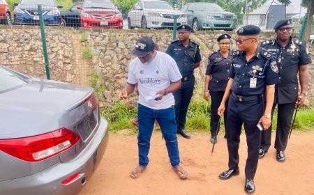 Enugu Police Impound 195 Vehicles Over Registration, Number Plate Violations