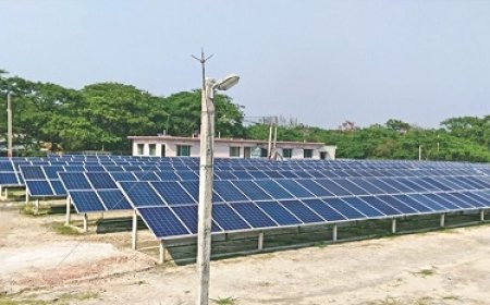 Solar Now Makes Up 20% Of Nigeria’s Electricity, Could Hit 50% By 2029 — REA