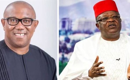 Why Peter Obi avoided debate with me - Dave Umahi