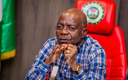 PPP Deal: Abia Attracts $145m Solar Manufacturing Investment