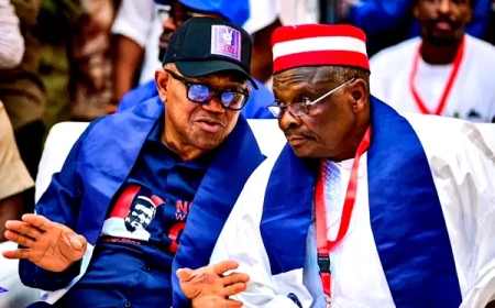 Peter Obi's Media Office Refutes Solomon Dalung's Claim on Plateau State Visits