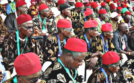 Ndigbo Lagos Urges Igbo Residents to Register, Collect PVCs Ahead of 2027 Polls