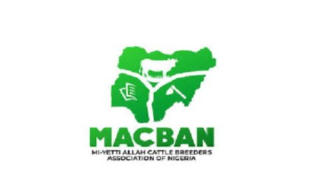 South East MACBAN Chairman Loses Two Sons, 40 Cattle in Alleged Ezeagu Cattle Camp Attack