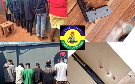 Enugu Police Arrest 14 Suspected Cultists, Recover Firearms, Ammunition