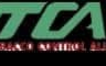 NTCA Slams FG Over N28m Tobacco Control Budget, Demands N300m Annually
