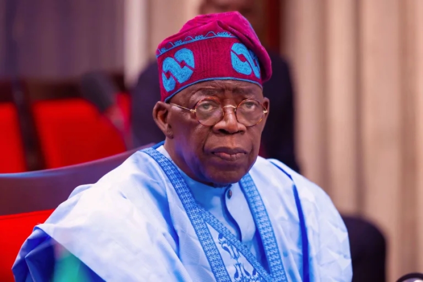 Finally, Tinubu Orders ICPC to Probe 'Fake' PFIPC Within 30 Days