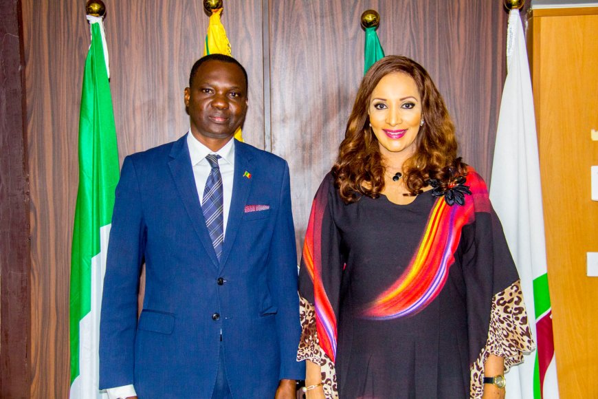 Nigeria, Mali To Revive Bilateral Ties With Joint Commission As Air Peace Launches Bamako Flight