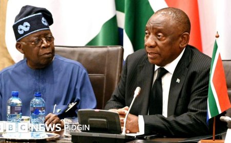 Onoh Slams South Africa Ambassador Over Xenophobia Denial