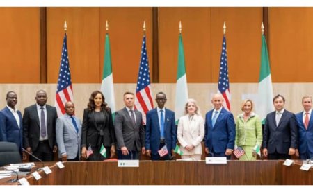 US, Nigeria Working Group Meets in Washington Over Counter-Terrorism, Security