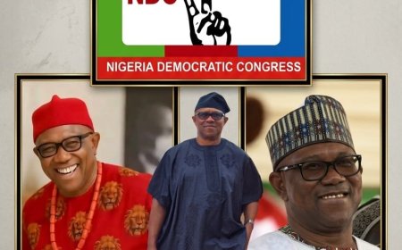 As 2027 Campaigns Begin Today, Keep Tuned To Peter Obi