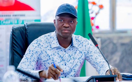 APC PRESIDENTIAL CAMPAIGN COUNCIL: NON-INCLUSION OF NWIFURU — AN EARLY WARNING SIGNAL