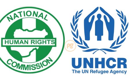 Southeast CSOs Petition NHRC Over Alleged Wawa Detention, Unidentified Bodies in Imo