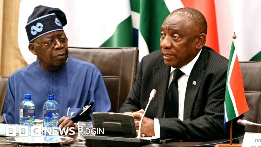 Onoh Slams South Africa Ambassador Over Xenophobia Denial