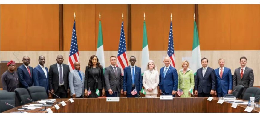 US, Nigeria Working Group Meets in Washington Over Counter-Terrorism, Security