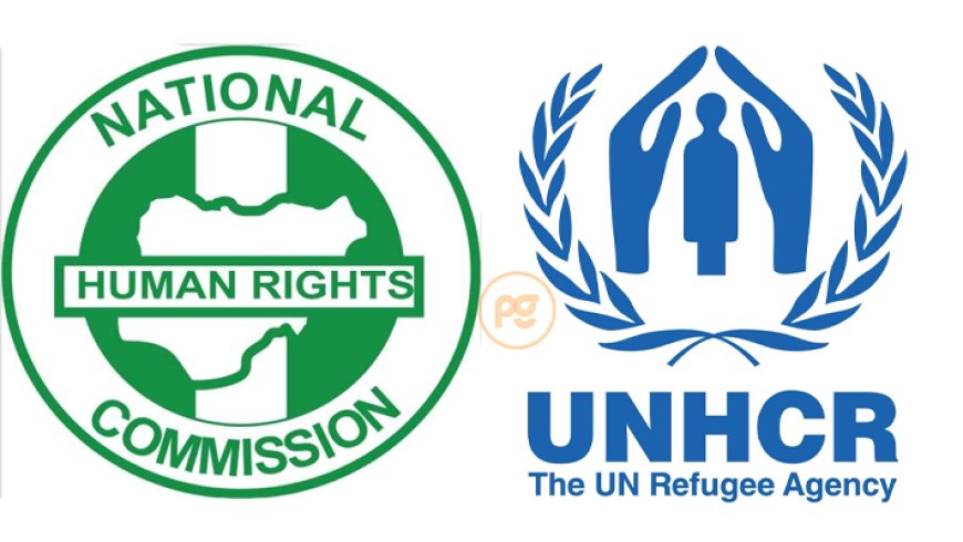 Southeast CSOs Petition NHRC Over Alleged Wawa Detention, Unidentified Bodies in Imo