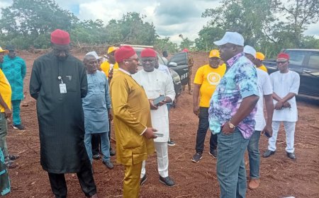 FUAD: 'University Ready To Fly' - FG Team Declares on Proposed Ako-Nike Agric Varsity