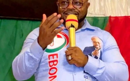 I’ll Attract Over ₦2 Trillion Investment to Ebonyi Within Six Months - Odii