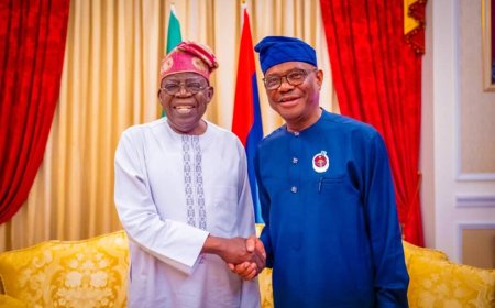 The Reward for Evil: Why Tinubu-Wike Alliance Has Become  Terminal Cancer