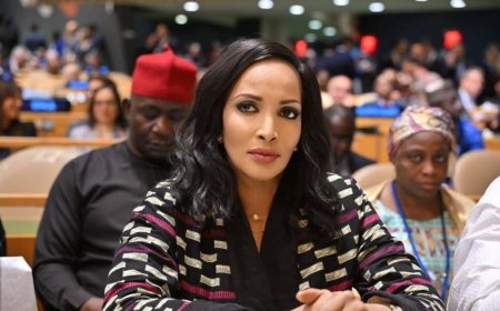 Nigeria, Mali deepen political consultations, discuss Sahel security at UNGA81
