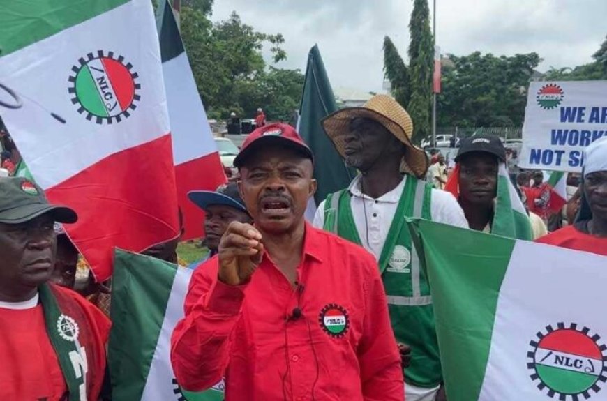 Hardship: Civil Servants Demand N500 Fuel, Wage Award From Tinubu