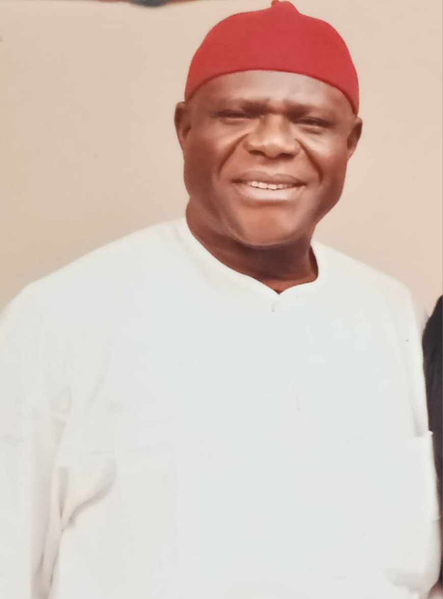 Nsukka Zone Will Vote Mbah En Masse for Second Term — APC Chieftain, Prince Agu