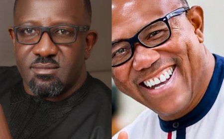 Will Ndigbo Self-destruct with Attacks on Peter Obi? - Onoh Cautions