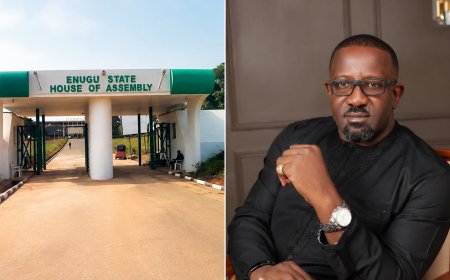 Ex-Enugu Lawmakers Demand Withdrawal of Proposed Crowd Control Bill over Constitutional Concerns