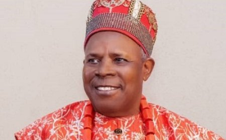 AGUBUZU: Enugu Monarch Who Asked Tinubu to Free Nnamdi Kanu Exposes Igbo Marginalisation in Foreign Service