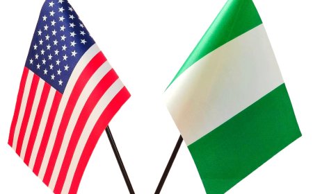 Nigeria Defends Sovereignty and Investment Climate, Blasts US Senator Marco Rubio's Remarks