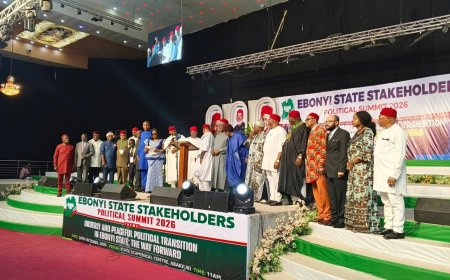 Ebonyi Summit: Untold Roles of Critical Actors In State Creation