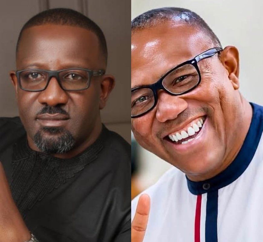 Will Ndigbo Self-destruct with Attacks on Peter Obi? - Onoh Cautions