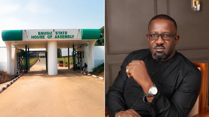 Ex-Enugu Lawmakers Demand Withdrawal of Proposed Crowd Control Bill over Constitutional Concerns